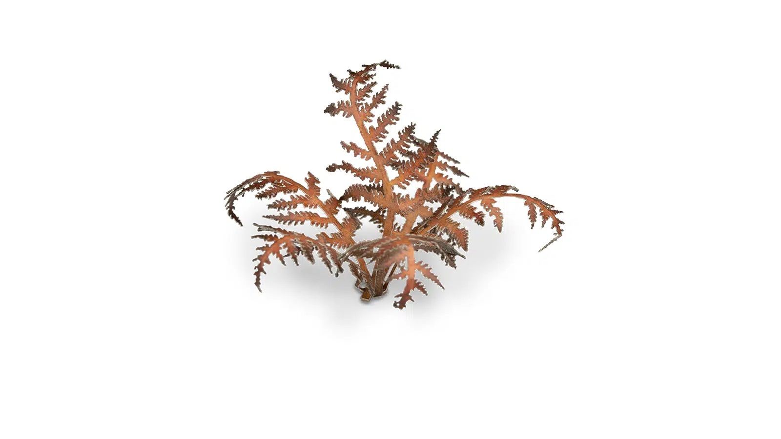 Декоративна рослина gamers grass: dry bracken Декоративна рослина gamers grass: dry bracken