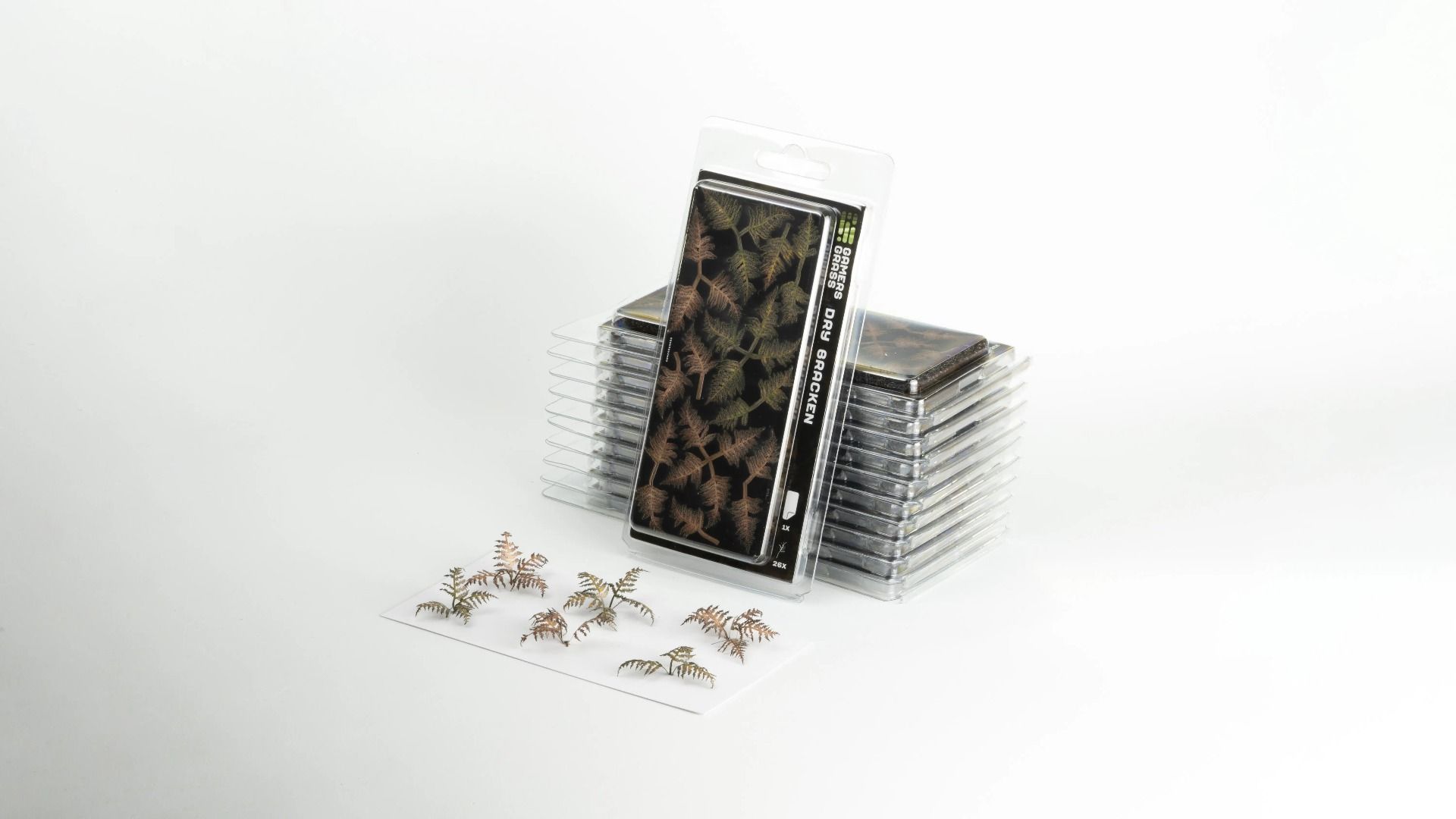 Декоративна рослина gamers grass: dry bracken Декоративна рослина gamers grass: dry bracken