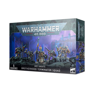 grey knights: brotherhood terminator squad / paladins