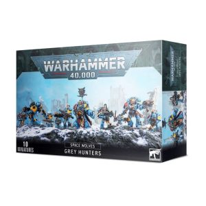 space wolves: grey hunters / space wolves pack