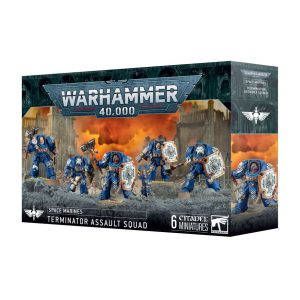 space marines: ancient in terminator armour