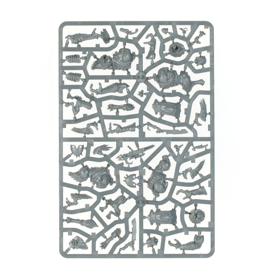 combat patrol: kroot combat patrol: kroot