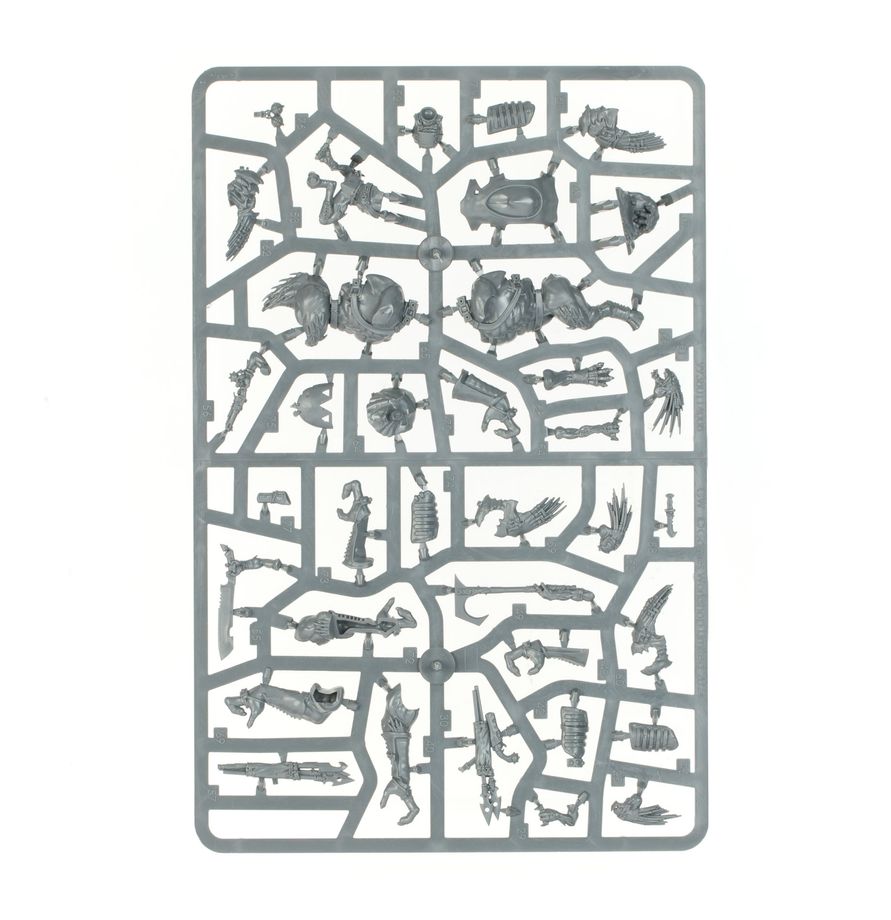 combat patrol: kroot combat patrol: kroot