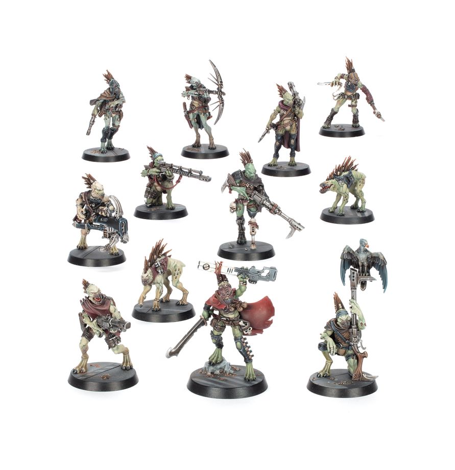 combat patrol: kroot combat patrol: kroot